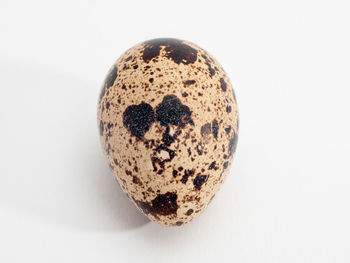 Directly above shot of egg against white background