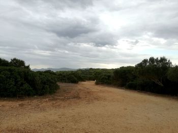 Dirt road amidst trees against sky