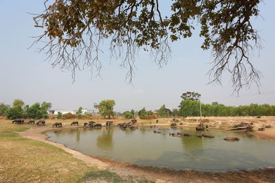 Scenic view of lake against clear sky