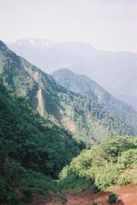 mountain