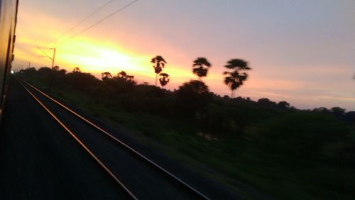 Silhouette trees by road against sky during sunset