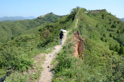 Scenic view of landscape against clear sky