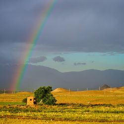 Scenic view of field against rainbow in sky