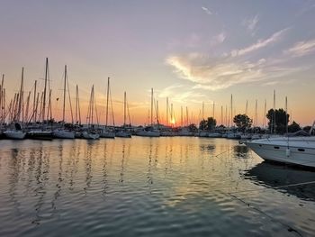 Sailboats in marina at sunset