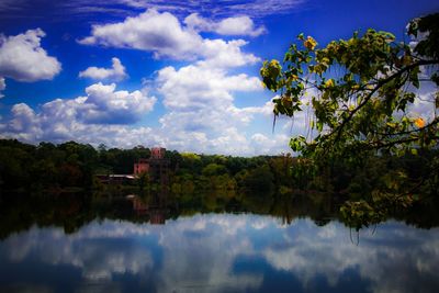 Reflection of trees in water