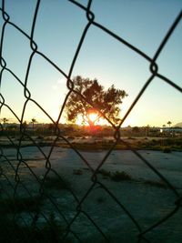 Chainlink fence at sunset