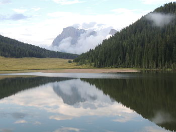 Scenic view of lake by trees against sky