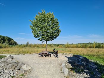 Scenic view of trees on field against sky