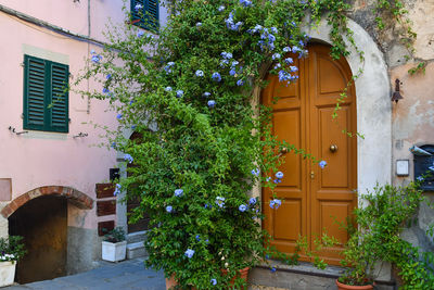 Closed door of building