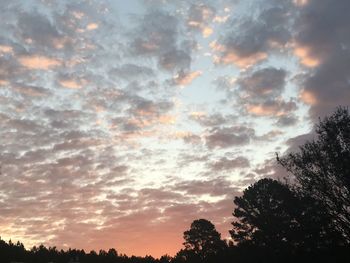 Low angle view of silhouette trees against sky during sunset