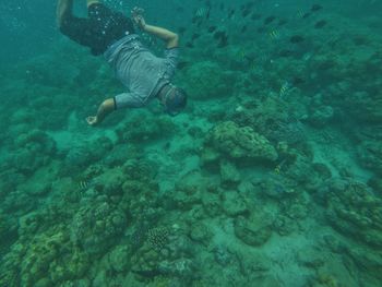 High angle view of person swimming in sea