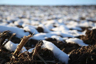 Close-up of frozen sea during winter