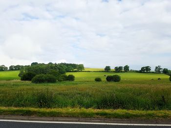 Scenic view of field against sky