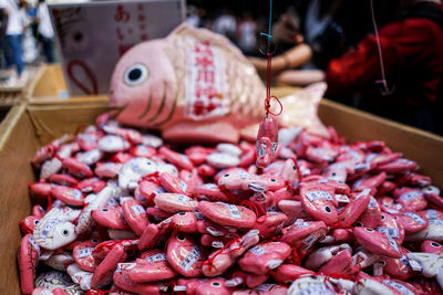 Catching red snapper omikuji