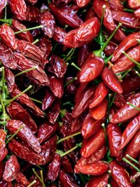 Full frame shot of red chili peppers