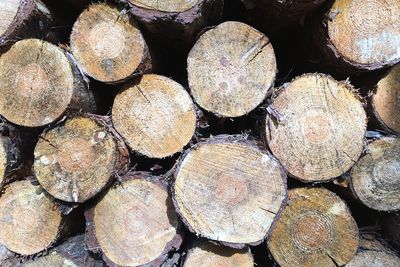 Full frame shot of logs