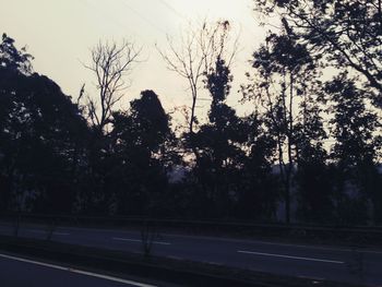 Silhouette trees by road in forest against sky