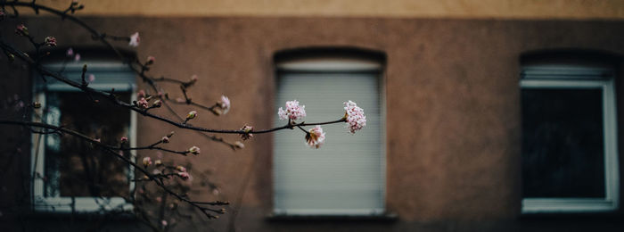 architecture
