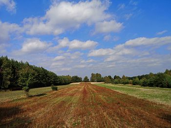 Dirt road amidst field against sky