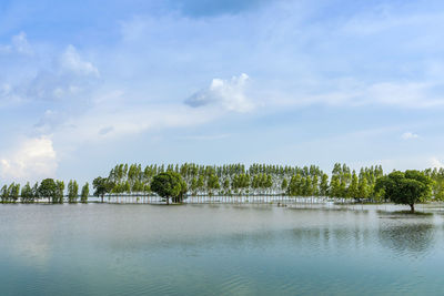 Scenic view of traditional flooded fields like a still lake on floating season in rural thailand. 