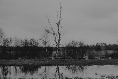 Reflection of bare trees in lake against sky