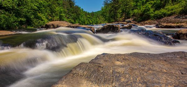 Scenic view of waterfall in forest