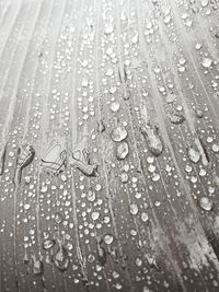 Close-up of water drops on glass