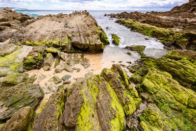 Scenic view of rocky beach