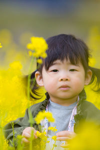 Portrait of boy on yellow flowering plant