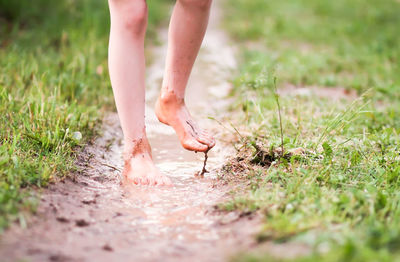 Low section of person walking on field