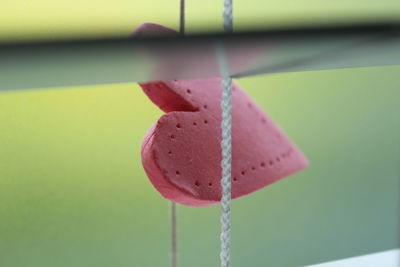 Close-up of tied hanging on rope