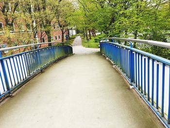 Walkway along trees