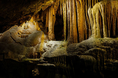 Low angle view of mushrooms in cave