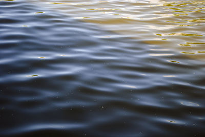 Full frame shot of water surface