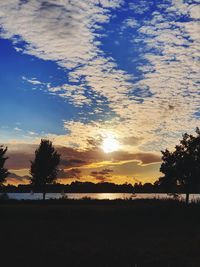 Silhouette trees on field against sky at sunset