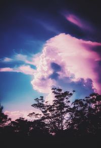 Low angle view of silhouette trees against sky at sunset