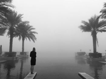 Rear view of man standing by palm tree against sky