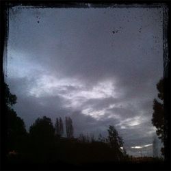 Low angle view of trees against cloudy sky