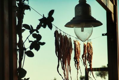Octopuses hanging on string by lamp against sky