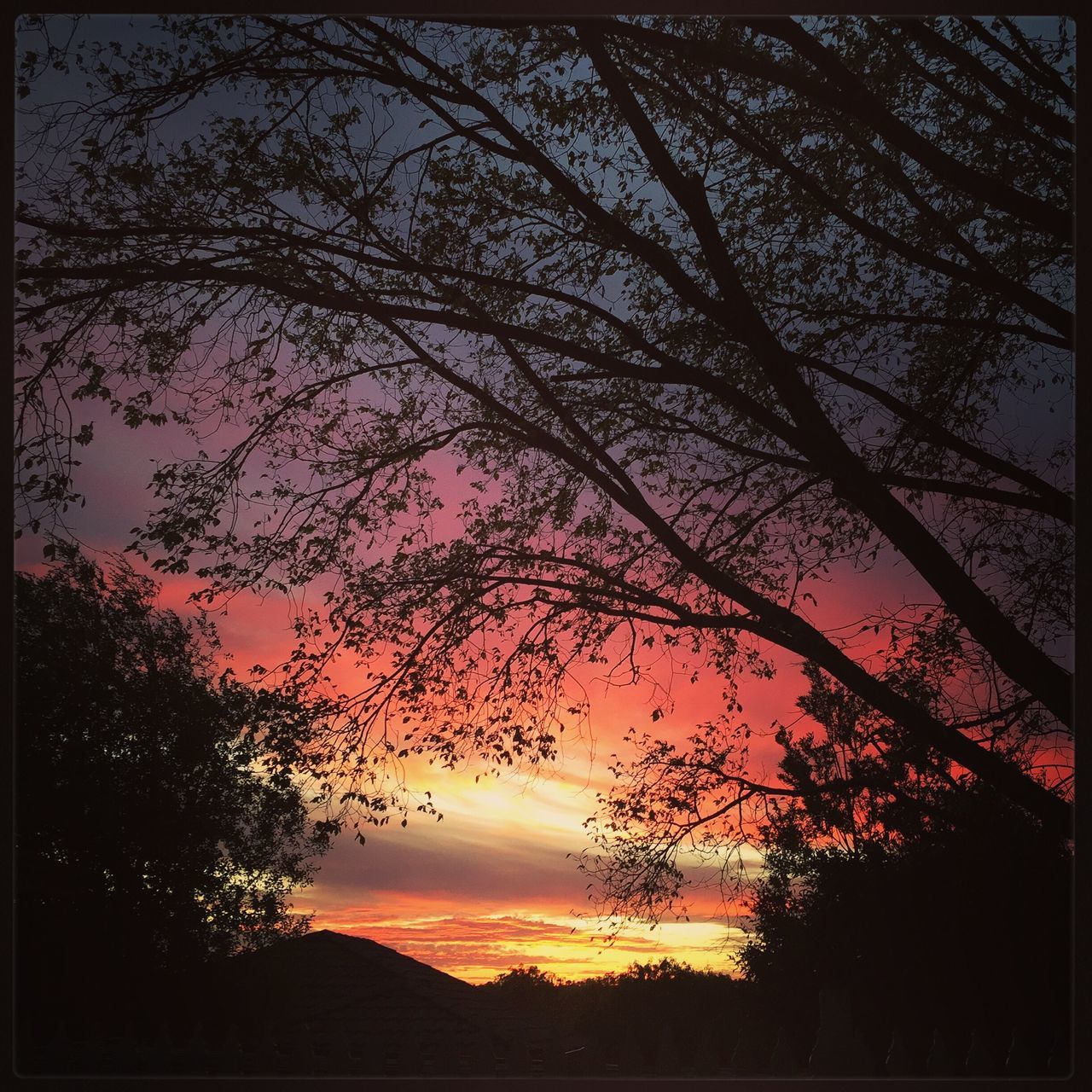 sunset, silhouette, tree, sky, beauty in nature, tranquility, scenics, tranquil scene, orange color, nature, branch, idyllic, transfer print, cloud - sky, low angle view, sun, auto post production filter, growth, bare tree, outdoors