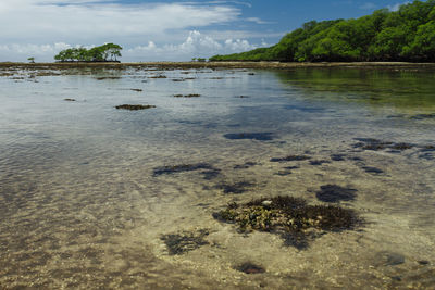 Scenic view of beach against sky