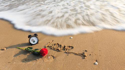 High angle view of sand beach and roses flower oclock