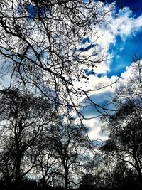 Low angle view of trees against cloudy sky