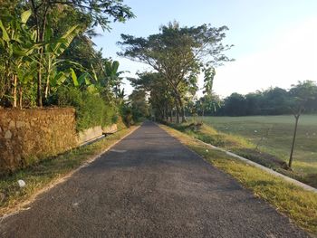 Road amidst trees against sky