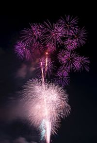 Low angle view of firework display at night