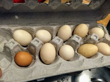 High angle view of eggs in container