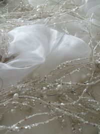 Close-up of frozen white flower