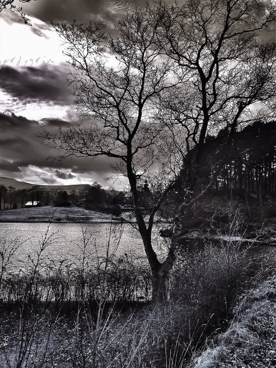 bare tree, sky, tree, tranquility, tranquil scene, water, branch, scenics, nature, cloud - sky, beauty in nature, landscape, grass, field, lake, river, non-urban scene, cloudy, cloud, outdoors