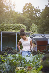 Young female gardener removing mobile phone from back pocket at yard