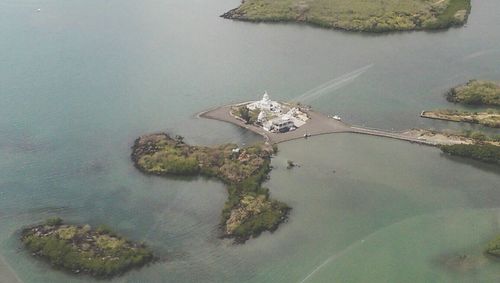 Reflection of trees in water